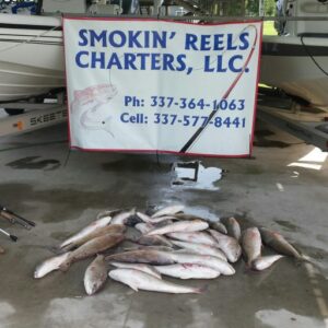 SMOKIN REELS CHARTERS LLC 300x300