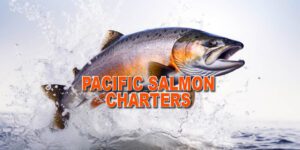 Pacific Salmon Charters
