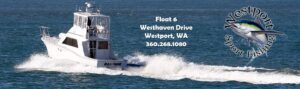 Westport Sport Fishing