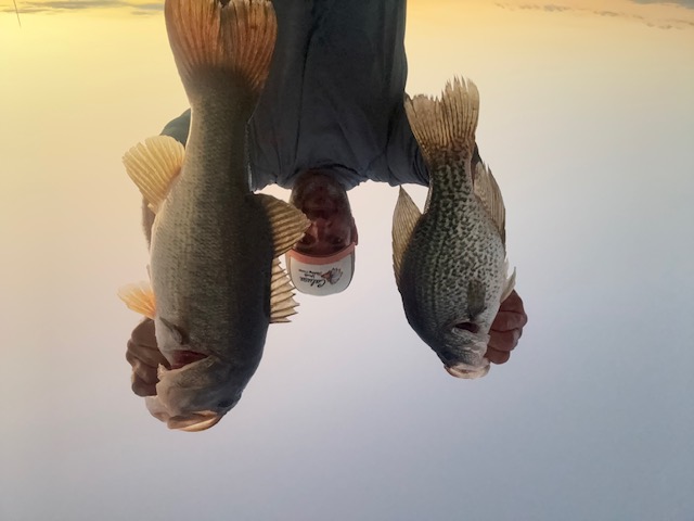 lake okeechobee crappie captain holding two