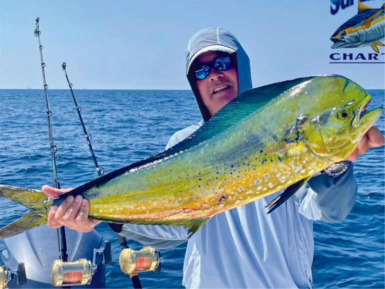 mahimahi 1 01 768x576