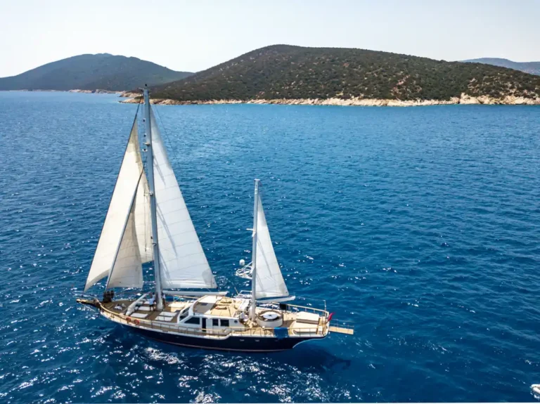 sailing yacht near green coastline 768x575